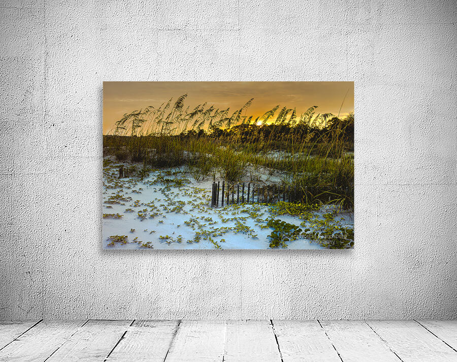 Autumn Sunset Dunes in Hilton Head Wall Preview
