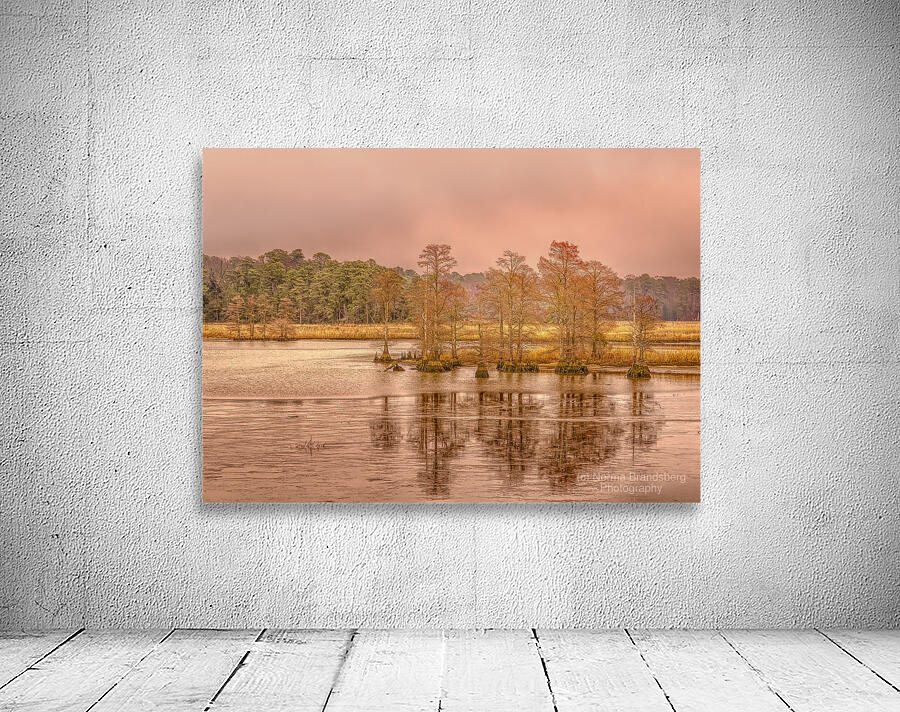 On the Road to Jamestown Wall Preview