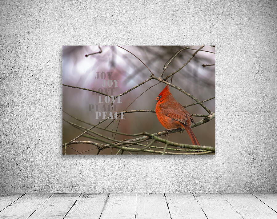 Red Cardinal Bird Joy Love Peace Wall Preview