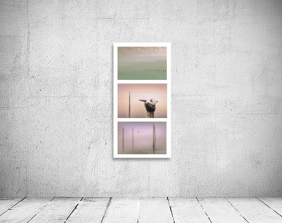Pensacola Beach  Pelican Pilings Triptych Wall Preview