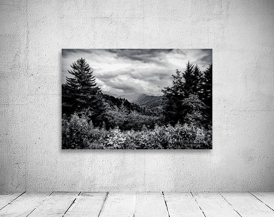 Tennessee Mountains Perfection in Black and white Wall Preview