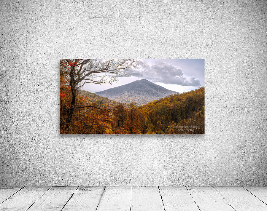 Golden Colors of Autumn Wall Preview