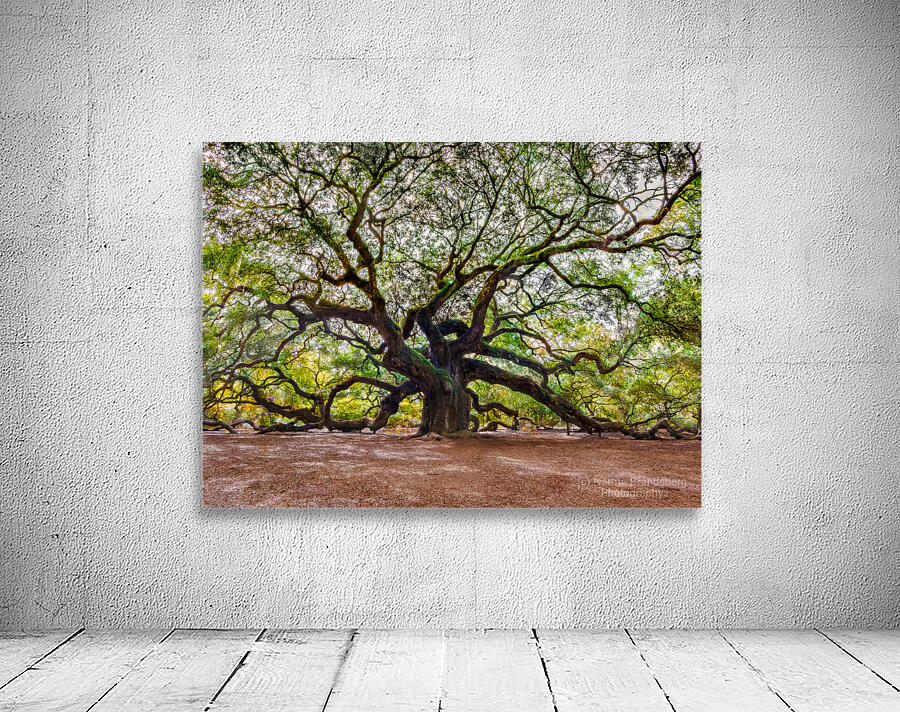 Spreading my Wings Wall Preview