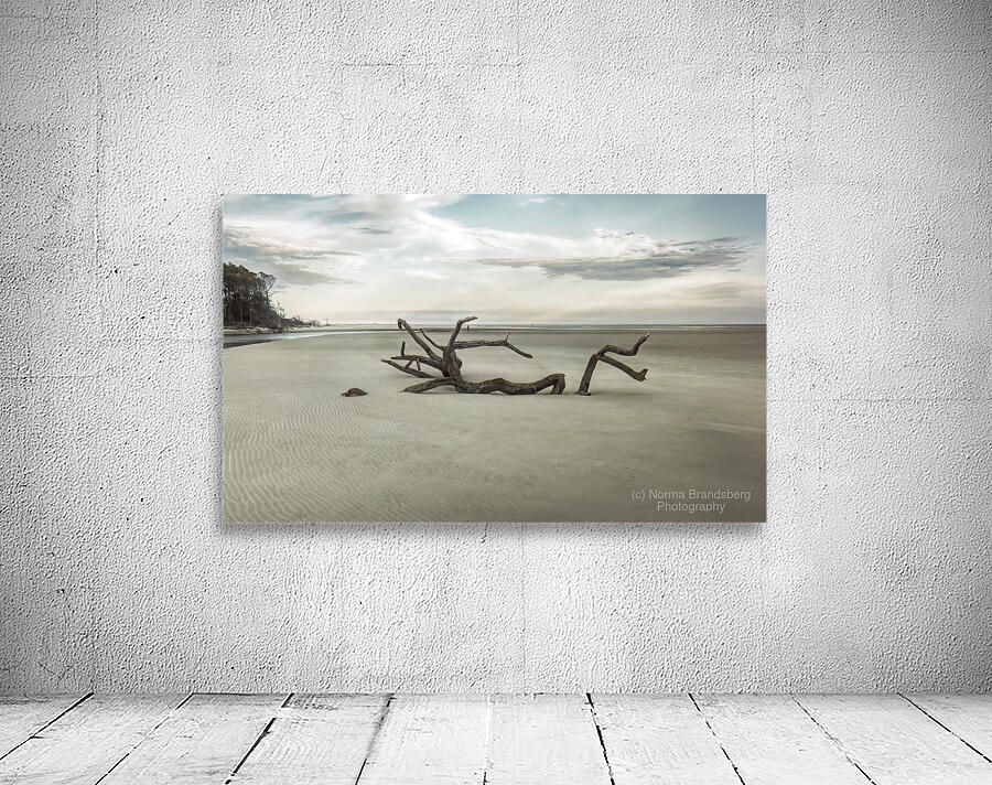 Beach Tree Relics Wall Preview