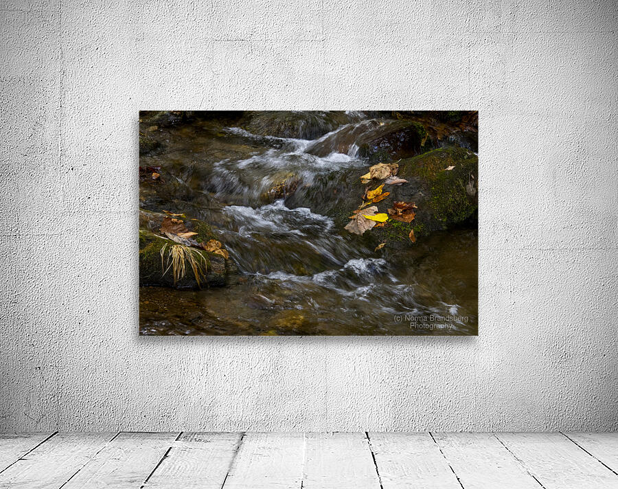 Blue Ridge Mountains River Art Wall Preview