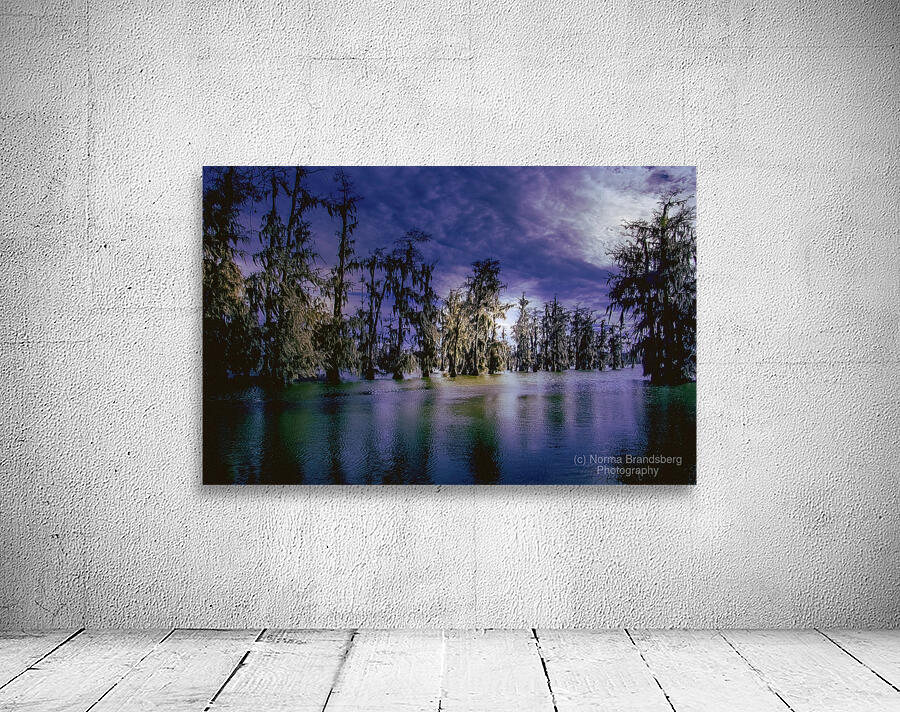 Winter Wanderings at Lake Martin Louisiana Wall Preview