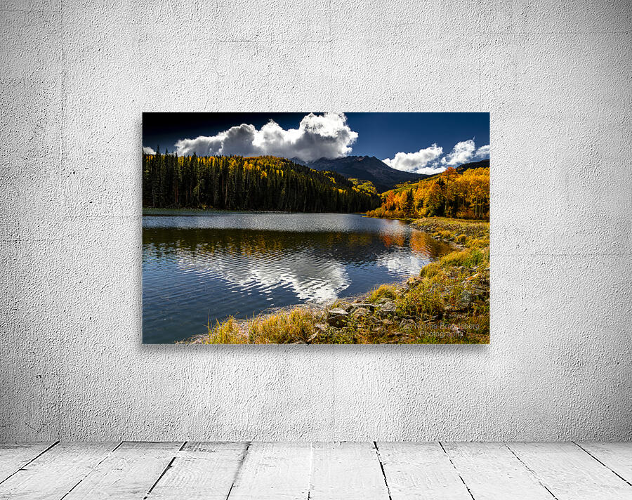 Aspen Heaven at Telluride Wall Preview