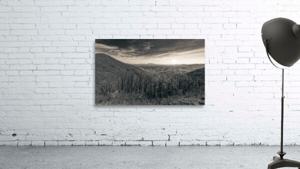 Oh Happy Day in the Mountains Wall Preview