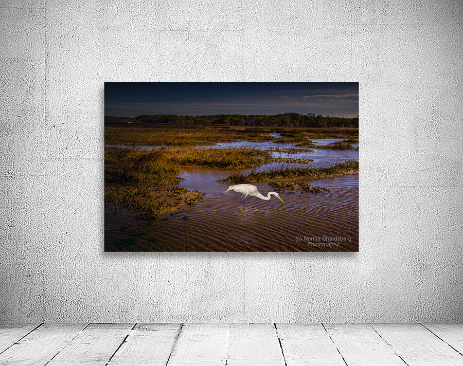 South Carolina  Marsh Heron Sunrise Wall Preview