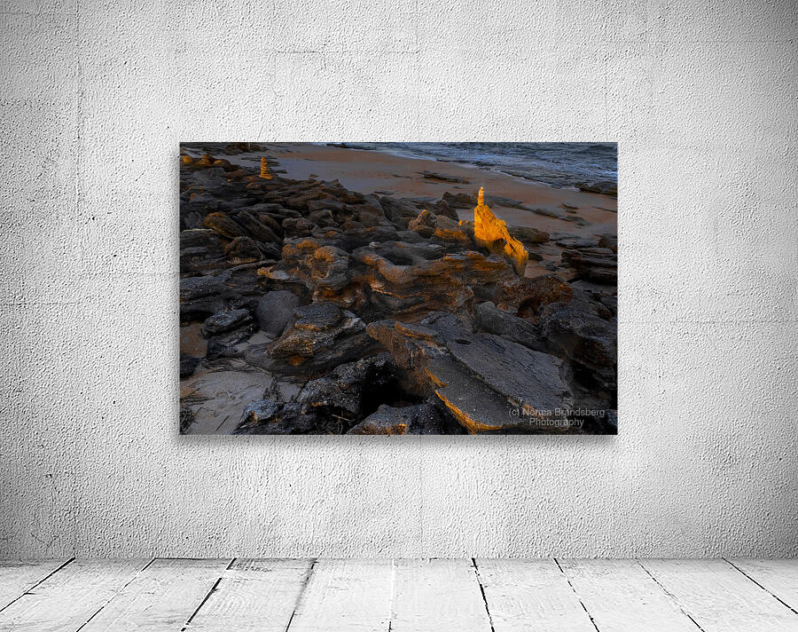 Washington Gardens Cochina  Sunset Wall Preview