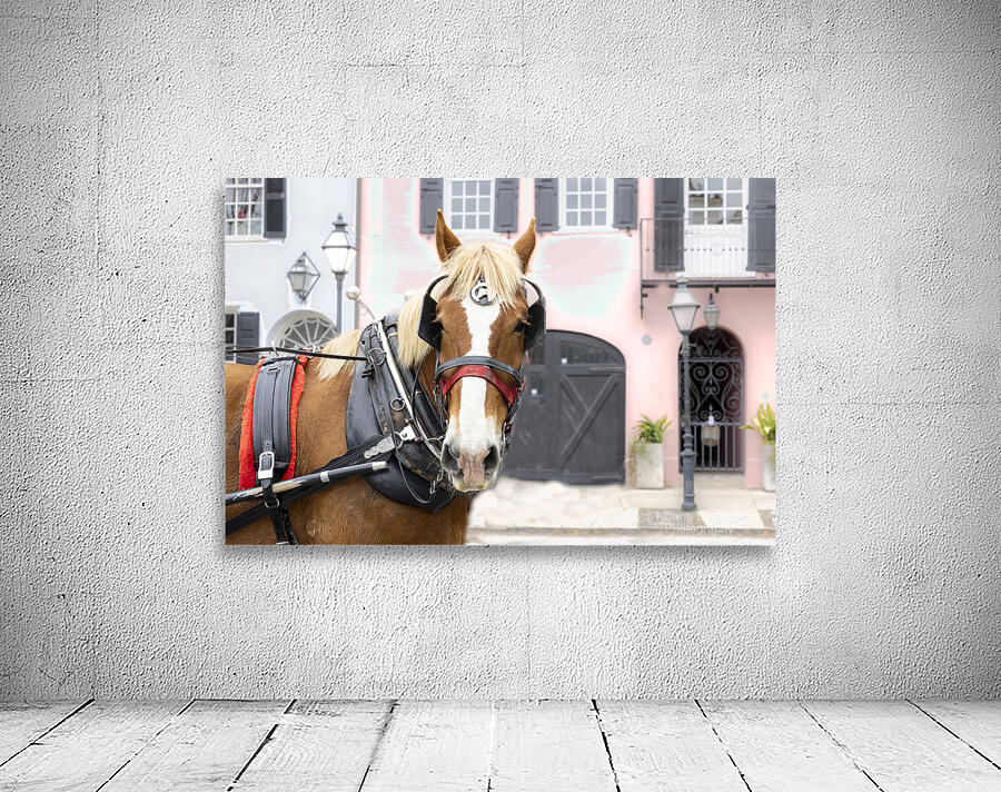 Charleston Rainbow Row Carriage and  Horse  Wall Preview