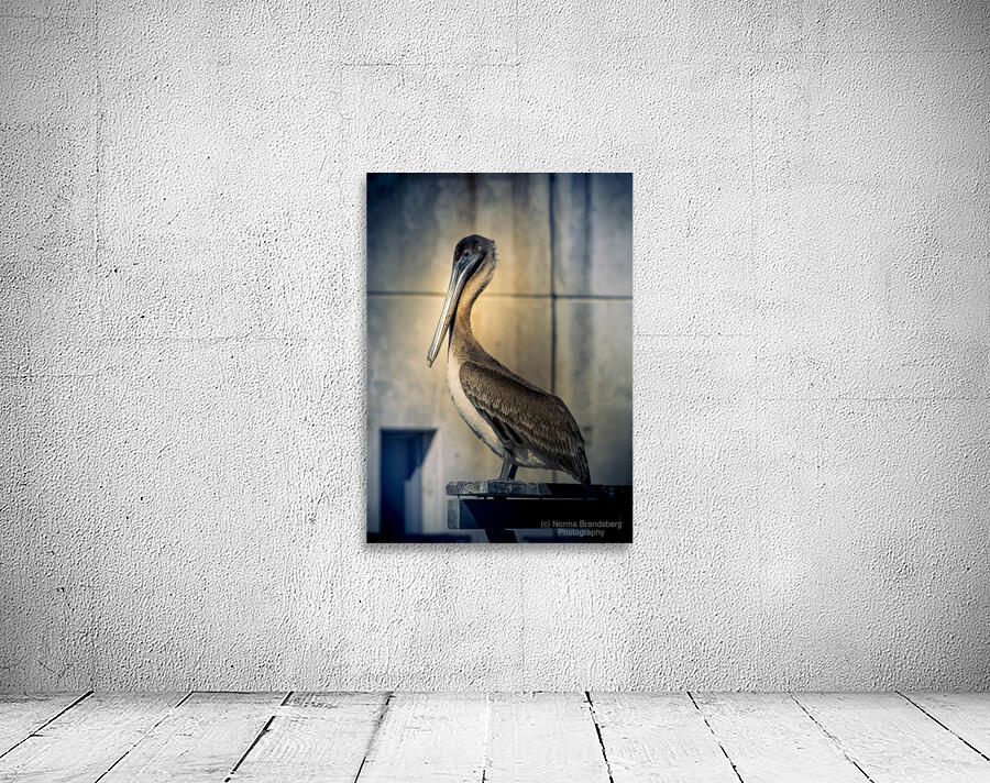 Big Beautiful Strutting Bird Wall Preview