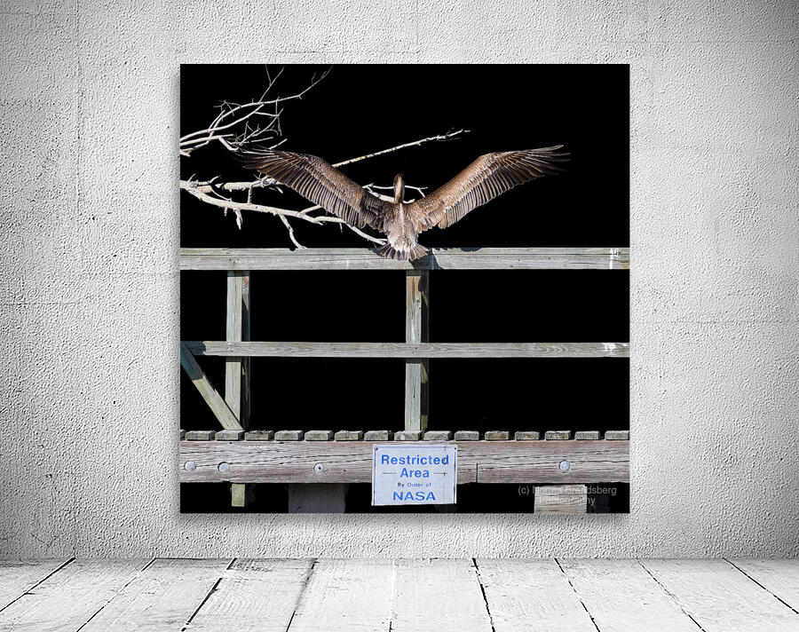 NASA Restricted Area Pelican Wall Preview