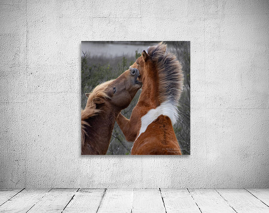  Nip of the Day Wall Preview