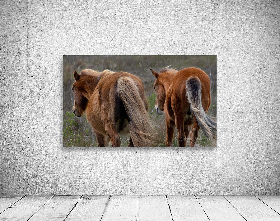 Paired Together Wall Preview