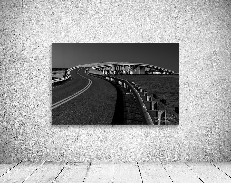 Chesapeake Curved Bridge Wall Preview