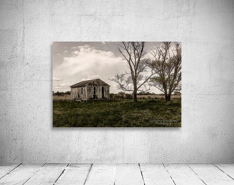 Virginia Eastern Shore Shack Wall Preview