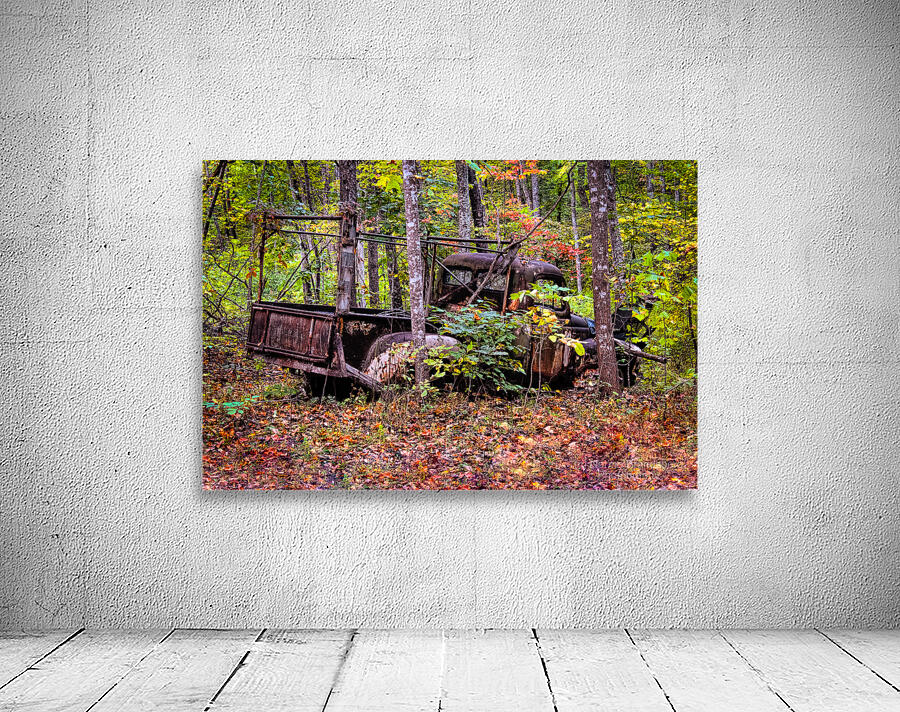 Wrong Way Home Wall Preview