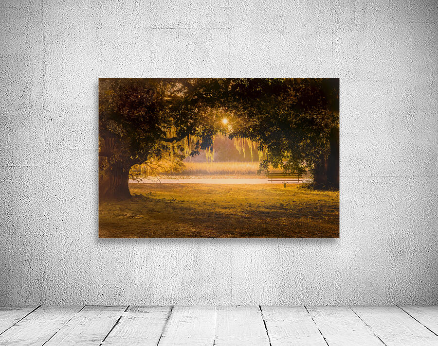 Sunrise Through the Trees Wall Preview