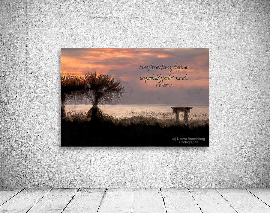 Every Day a Miracle Wall Preview