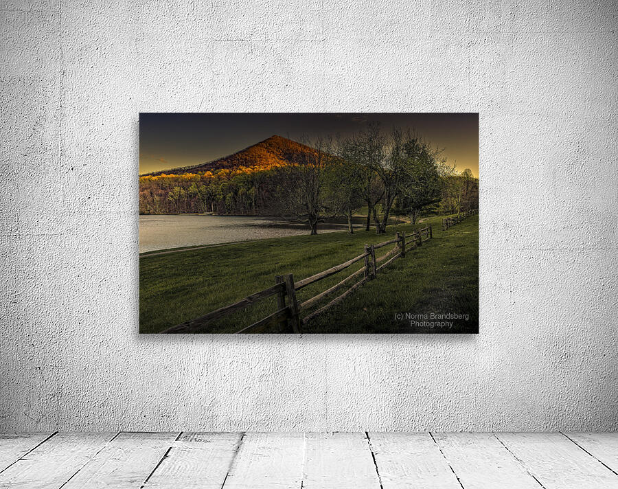 Say Goodnight World Wall Preview