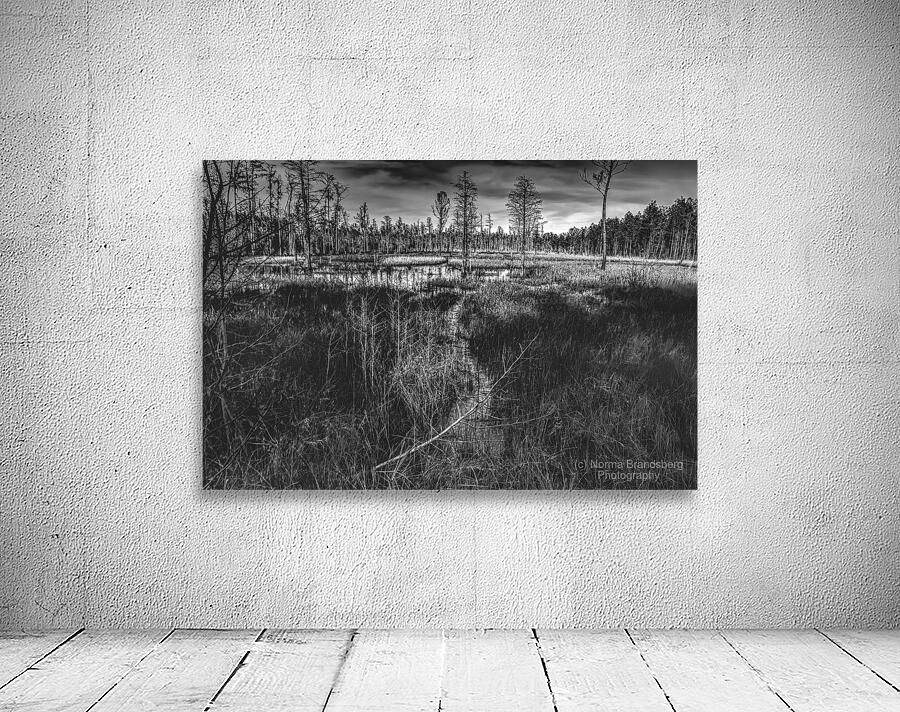 Pathway Through the Marsh Wall Preview