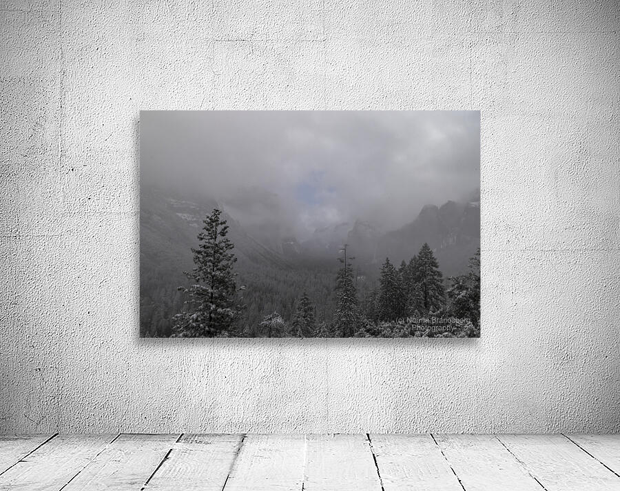 Foggy Yosemite in Winter Wall Preview