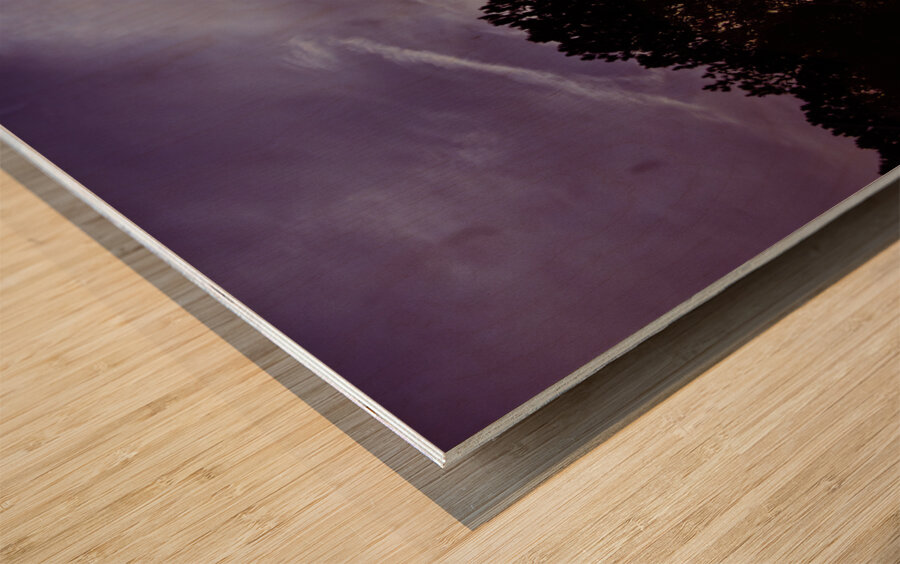 Peeking Through Trees Wood print