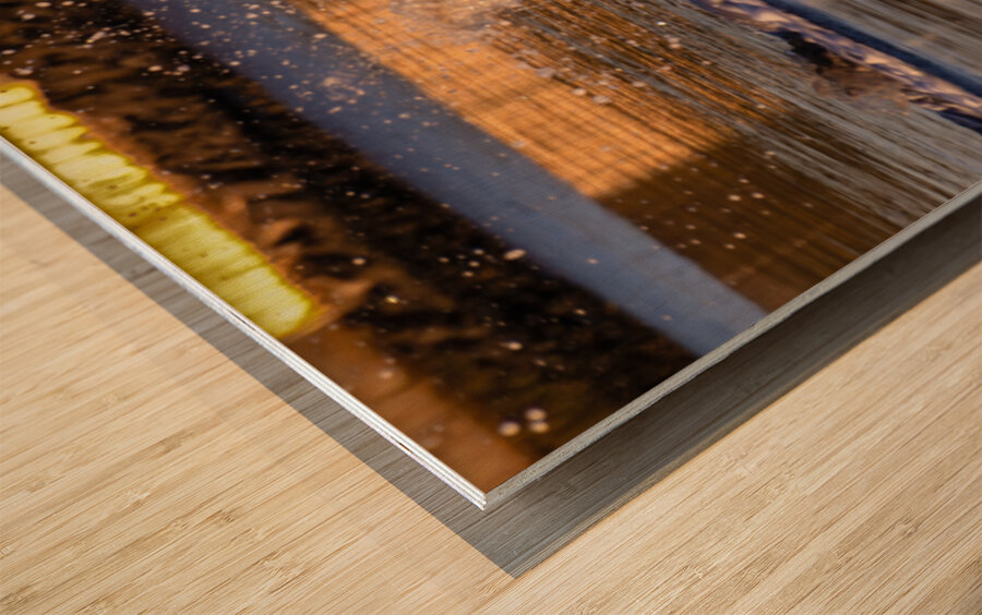 Surprise Porpoise Heron Attack Wood print