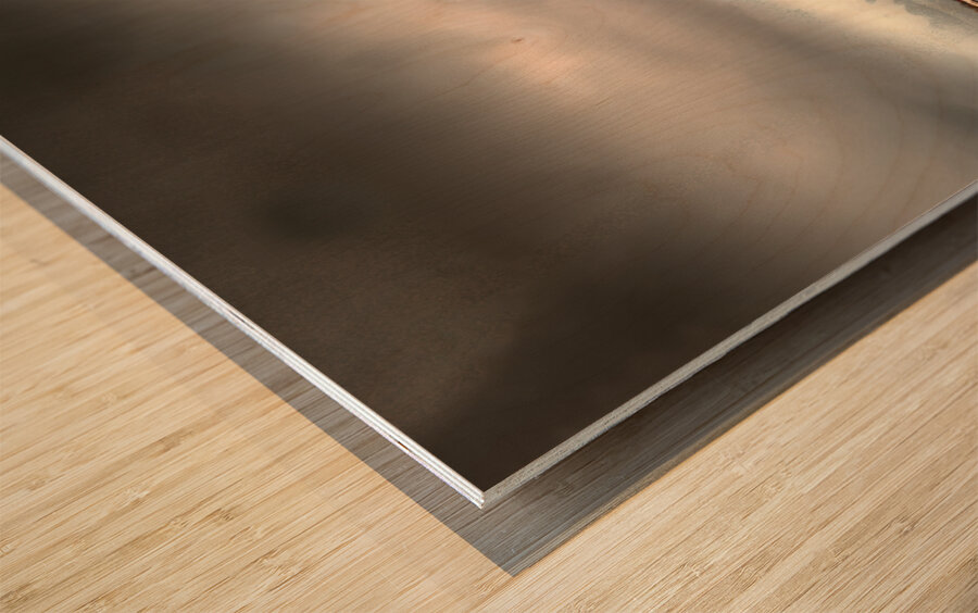 Cloudy Troubles Ahead Wood print