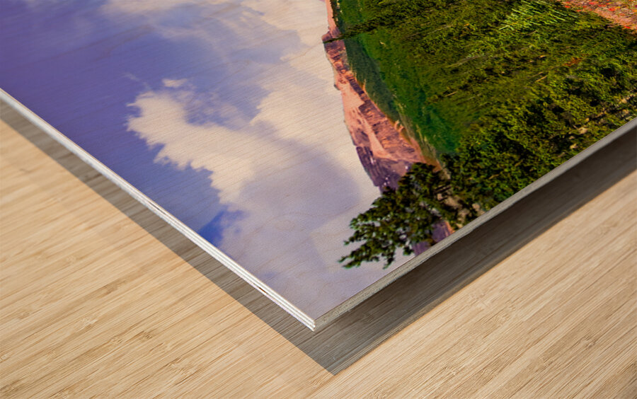 Canadian Rocky Mountain Indian Paintbrush Wood print