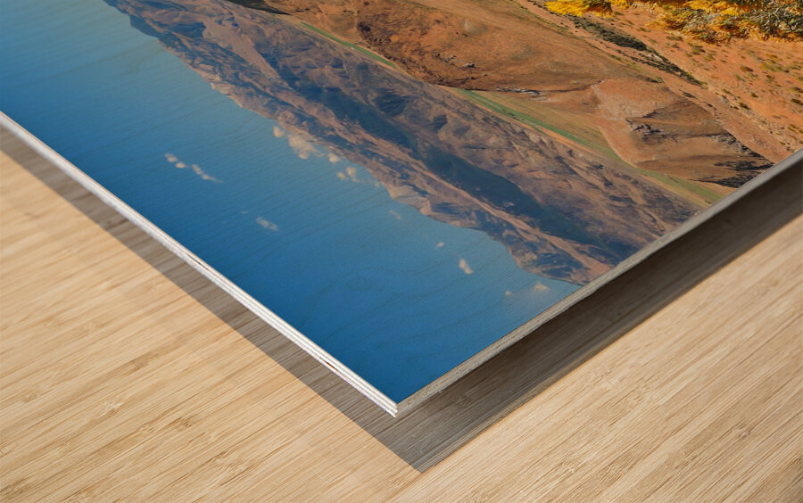 The Straw Flower Bouquet in the Tahoe Desert Wood print