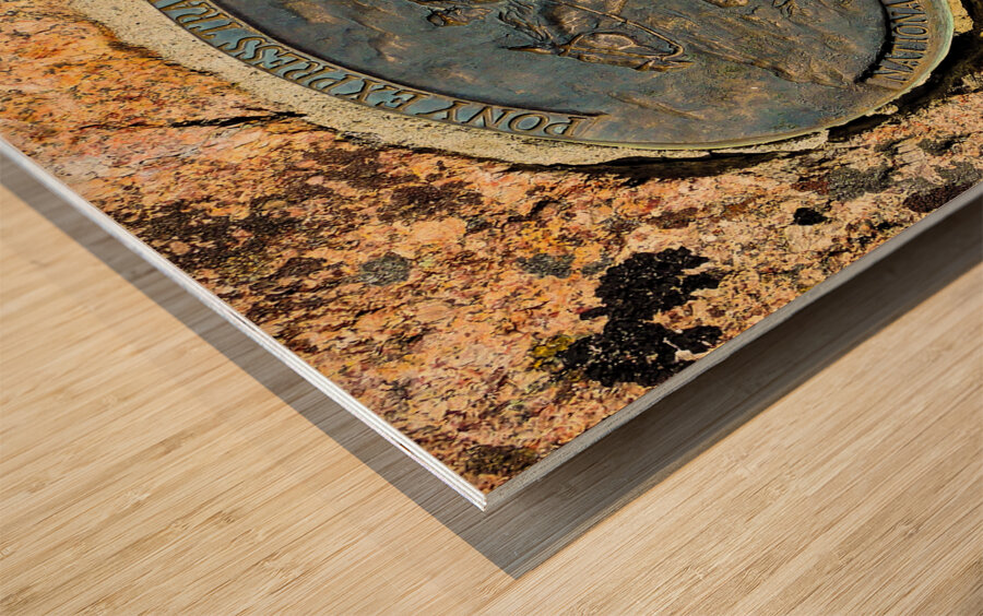 The Pony Express Rides Again Wood print