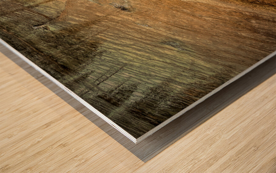 Yellowstone  Hot Springs Pool Tree Left Behind Wood print