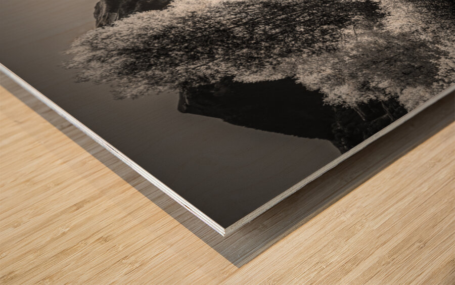 Aspen Backroad Mountain Runner Wood print