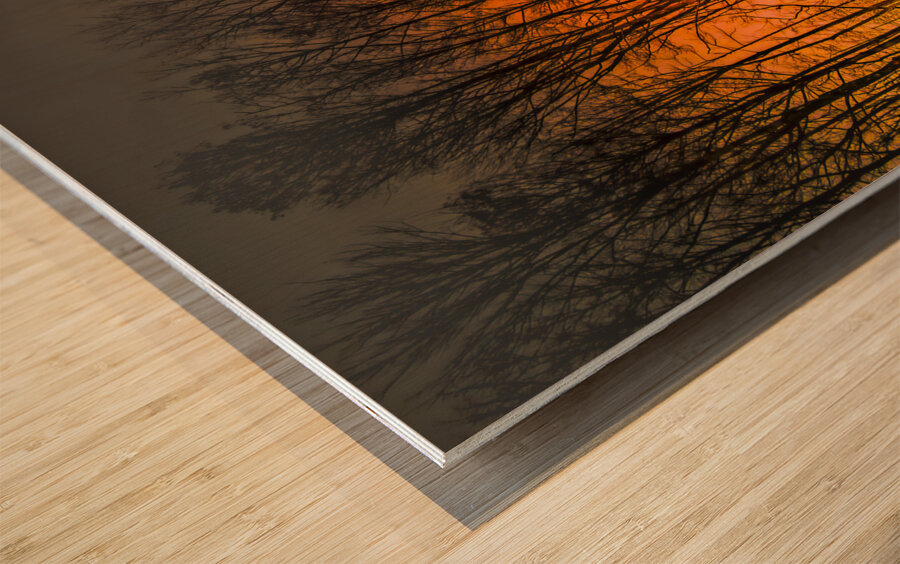 Georgia Forest Orange Sunset Silhouettes Wood print
