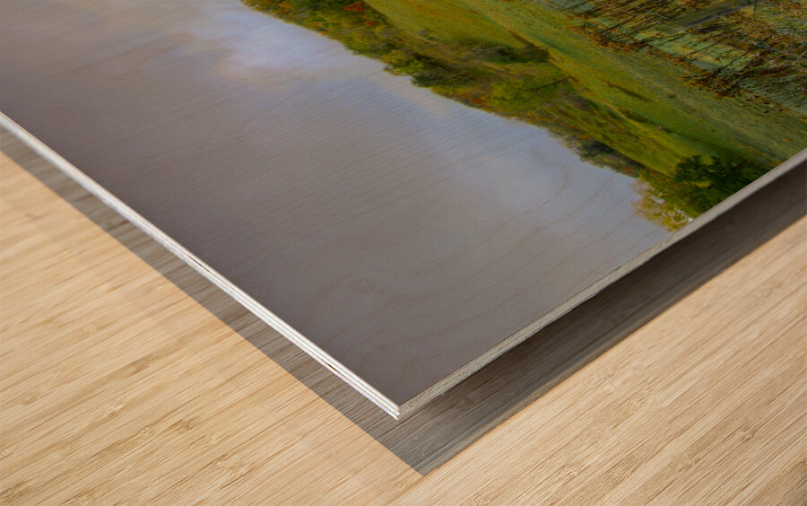 Hot Springs Virginia Farm Cabin Wood print