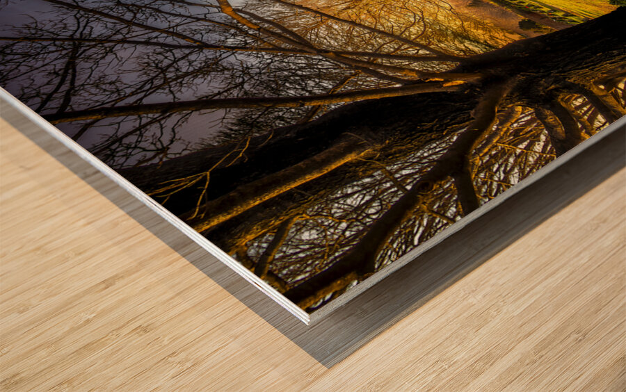 Old City Civil War Cemetery Christmas Wreaths Wood print