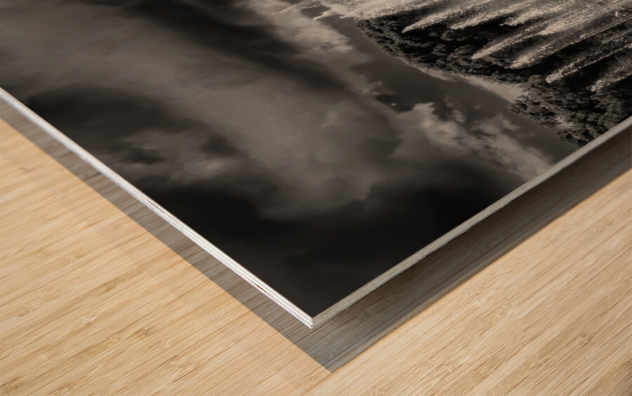 Frankfurt Botanical and Palmengarten Fountains Wood print