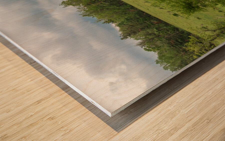 Farm on the Blue Ridge Wood print