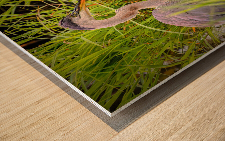 Breakfast at Peaks of Otter Wood print