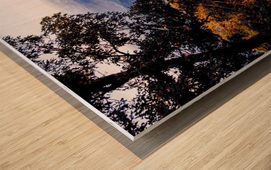 Autumn on the Blue Ridge Parkway Wood print