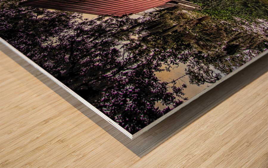 Rockville  South Carolina Old Country Store Wood print