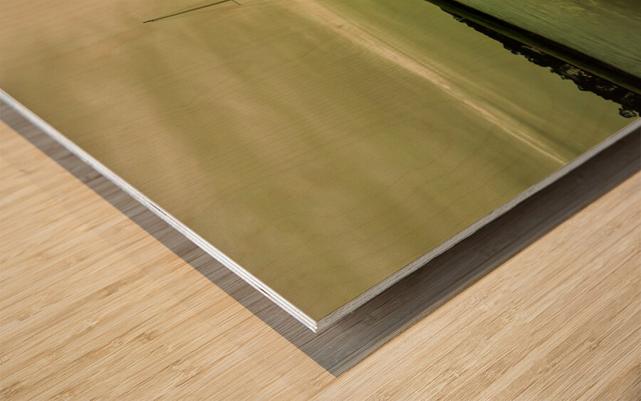 Hilton Head Broad Creek Sailboats Wood print