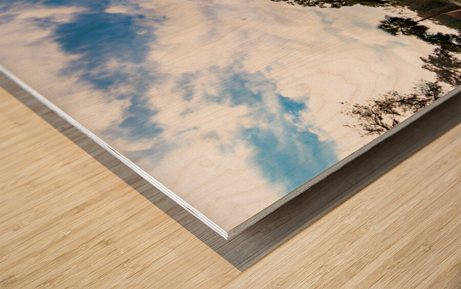 Edisto Trinity Episcopal Church Wood print