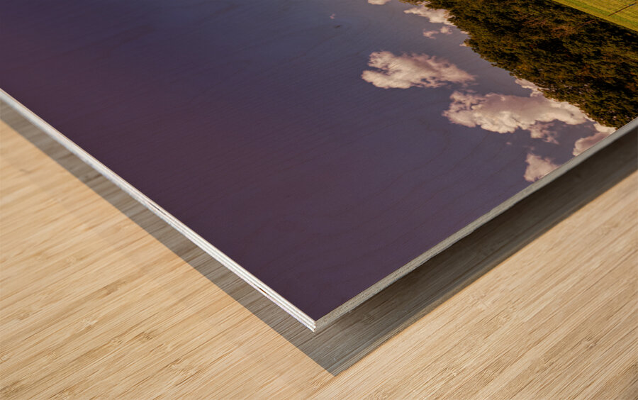 Old West Virginia Red Barn Wood print