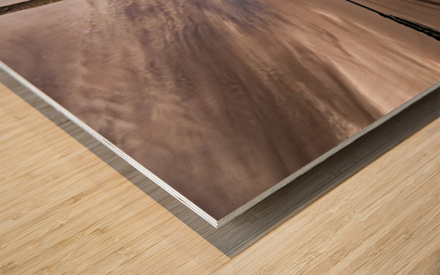 Hilton Head Better on an Americas Cup Yacht Wood print