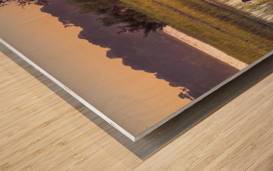 Hilton Head Wetlands Marsh Wood print