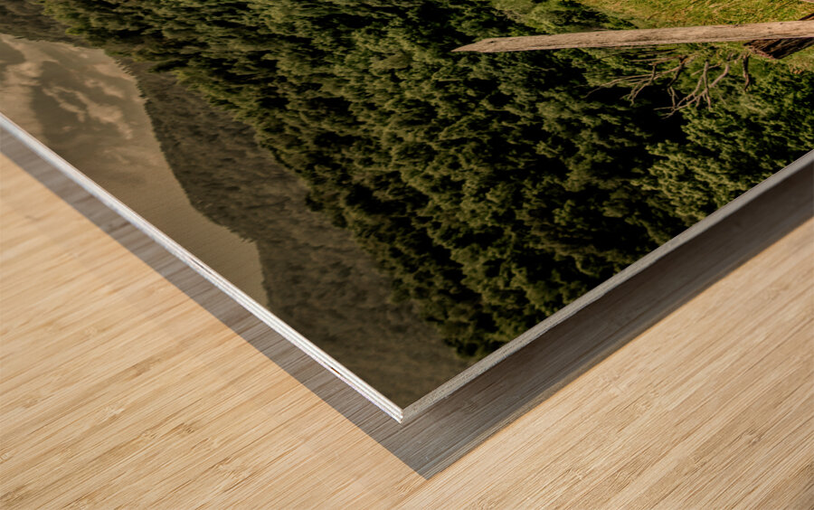 Homestead Resort  Red Barn Wood print