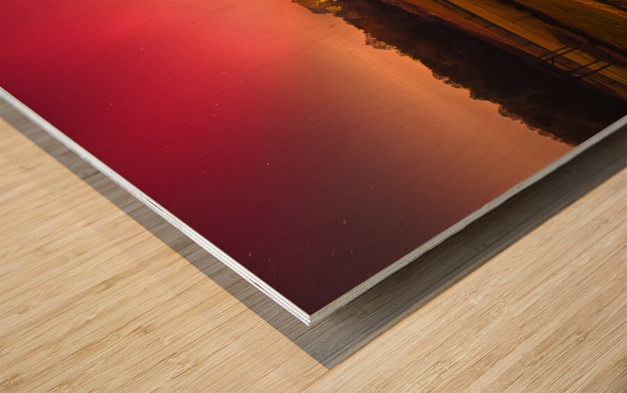 Leading the Way to Farm Aurora Wood print